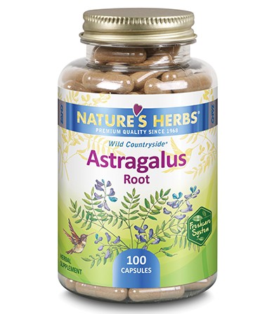 Astragalus Root- 100 kapsula