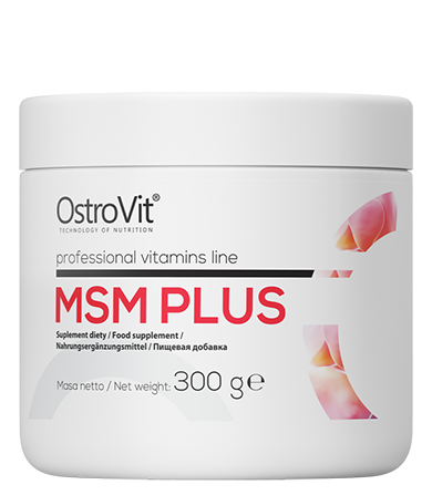 MSM Plus Professional Vitamins Line- 300 g